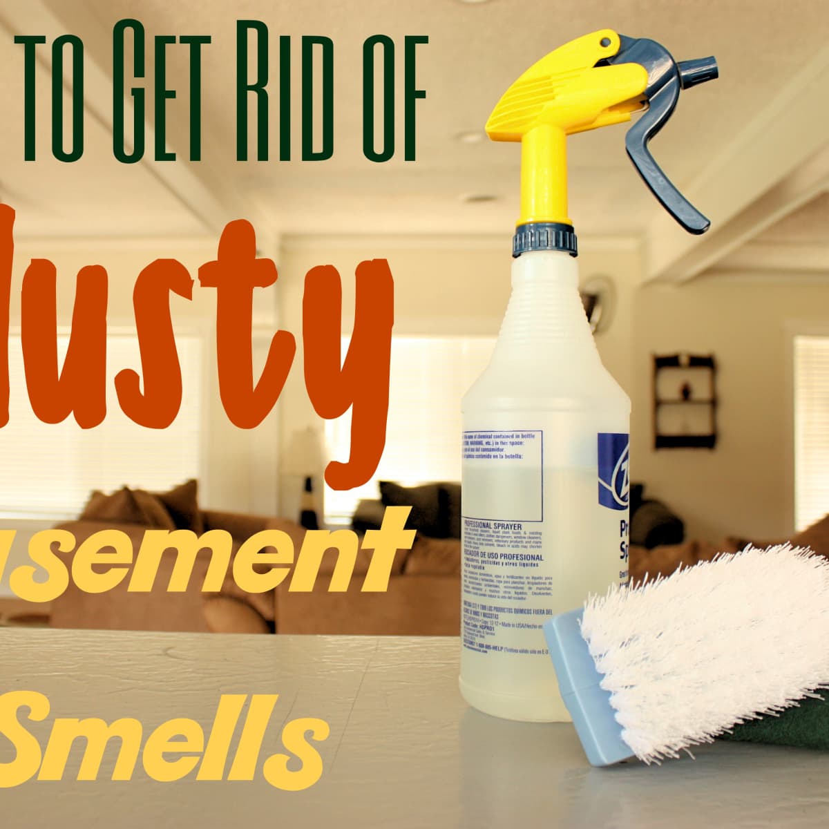 How To Remove Musty Smell From Paper How to Get Rid of Musty Basement Smells (Plus Prevention Tips) - Dengarden