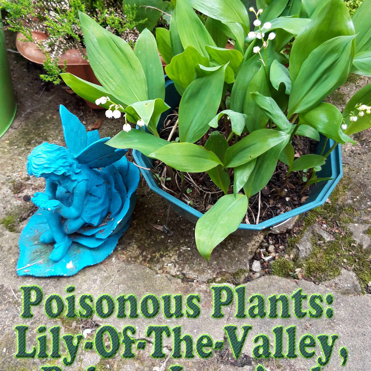 is lily of the valley poisonous to dogs