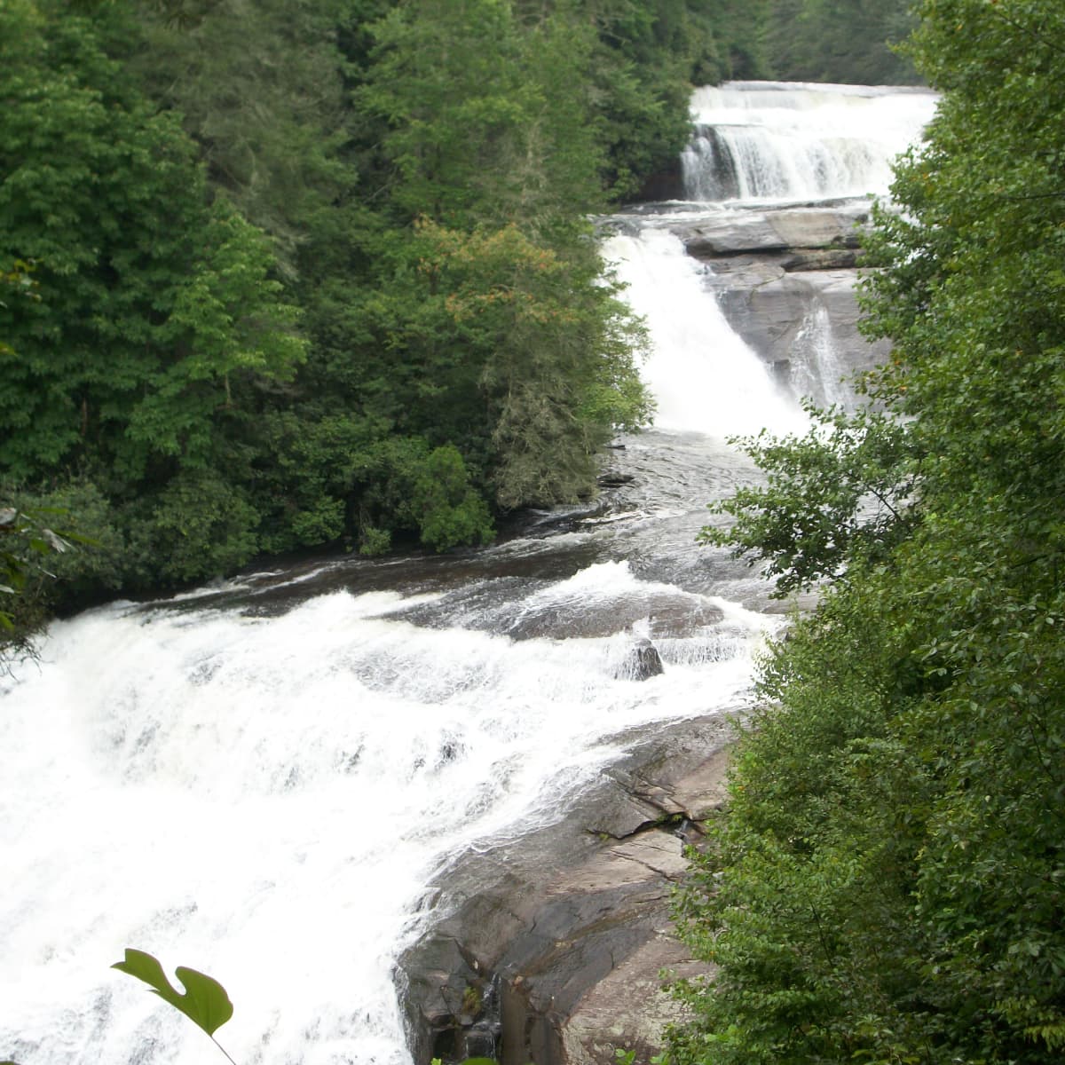 Dupont State Forest Cedar Mountain North Carolina Skyaboveus