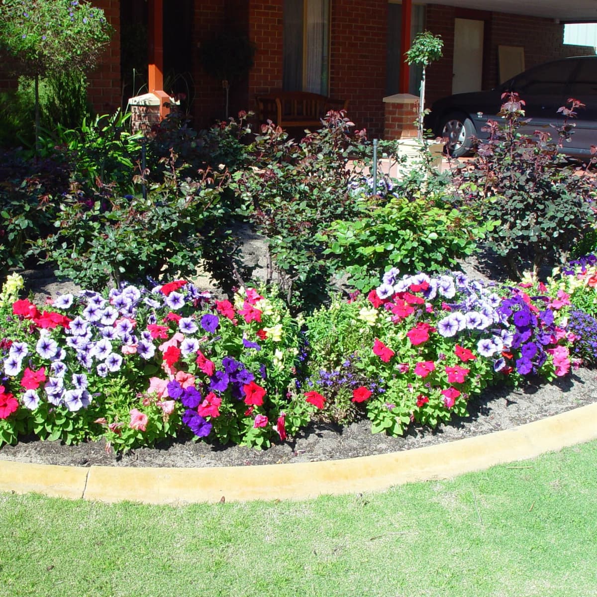 Flower Plants In Your Garden, Landscaping Flowers And Bushes
