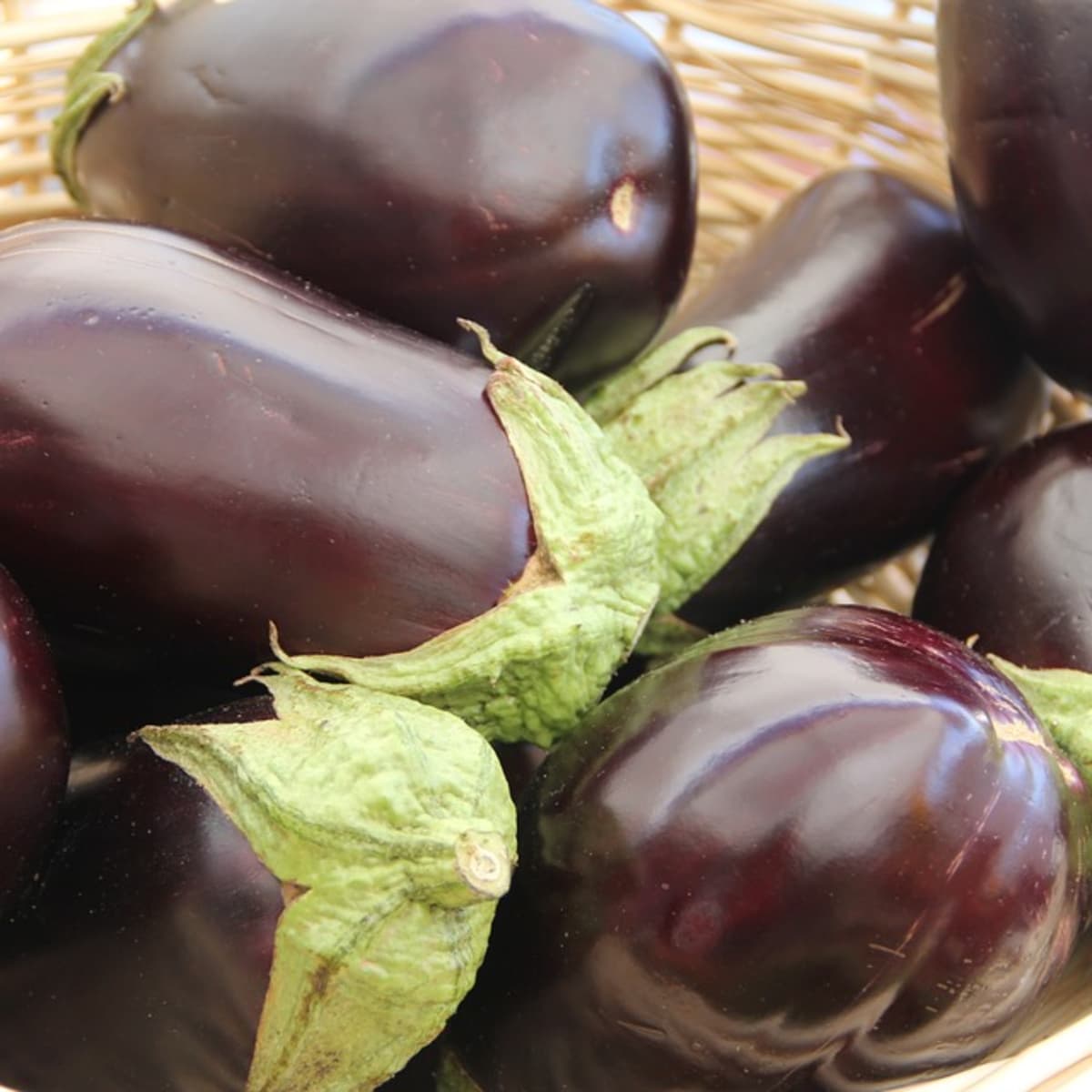 How to Grow Any Kind of Eggplant - Dengarden