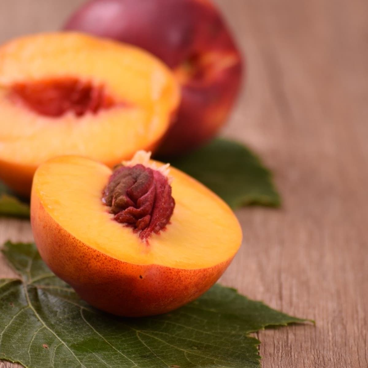 5-Nectarine-Pits-Grow-Your-Own-Delicious-From-Seeds 