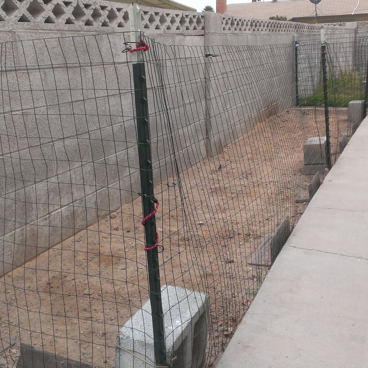 What to Consider When Building a Dog Fence