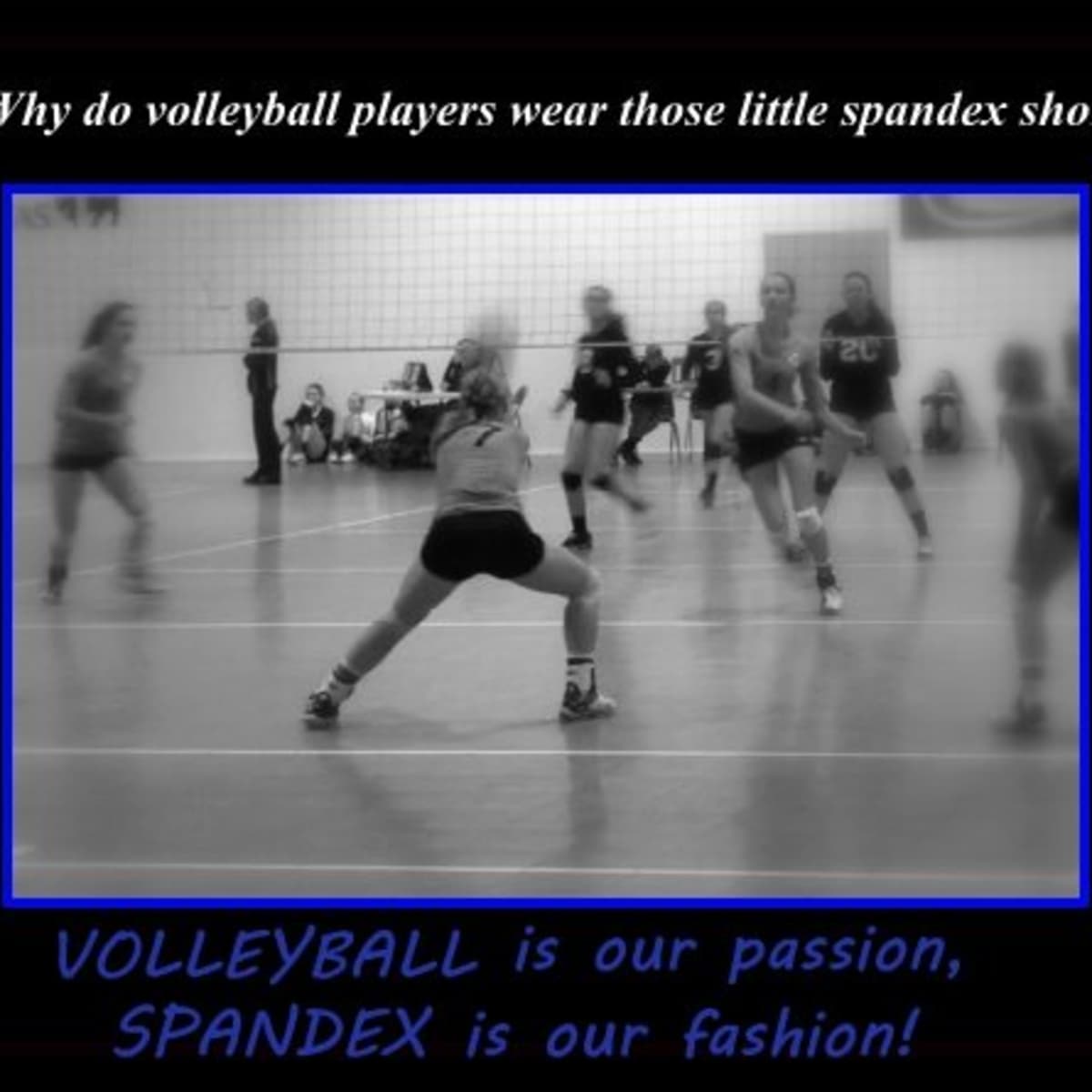 Bestudeer Verwachten eiland Why Are Volleyball Shorts so Short and Tight? - HowTheyPlay