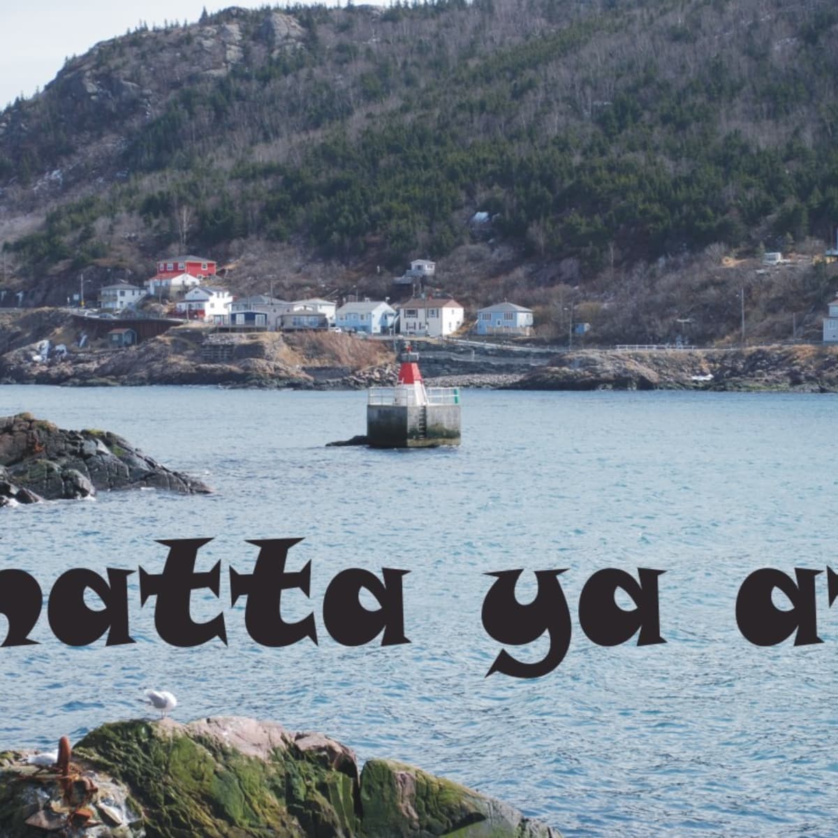 what language is spoken in newfoundland and labrador