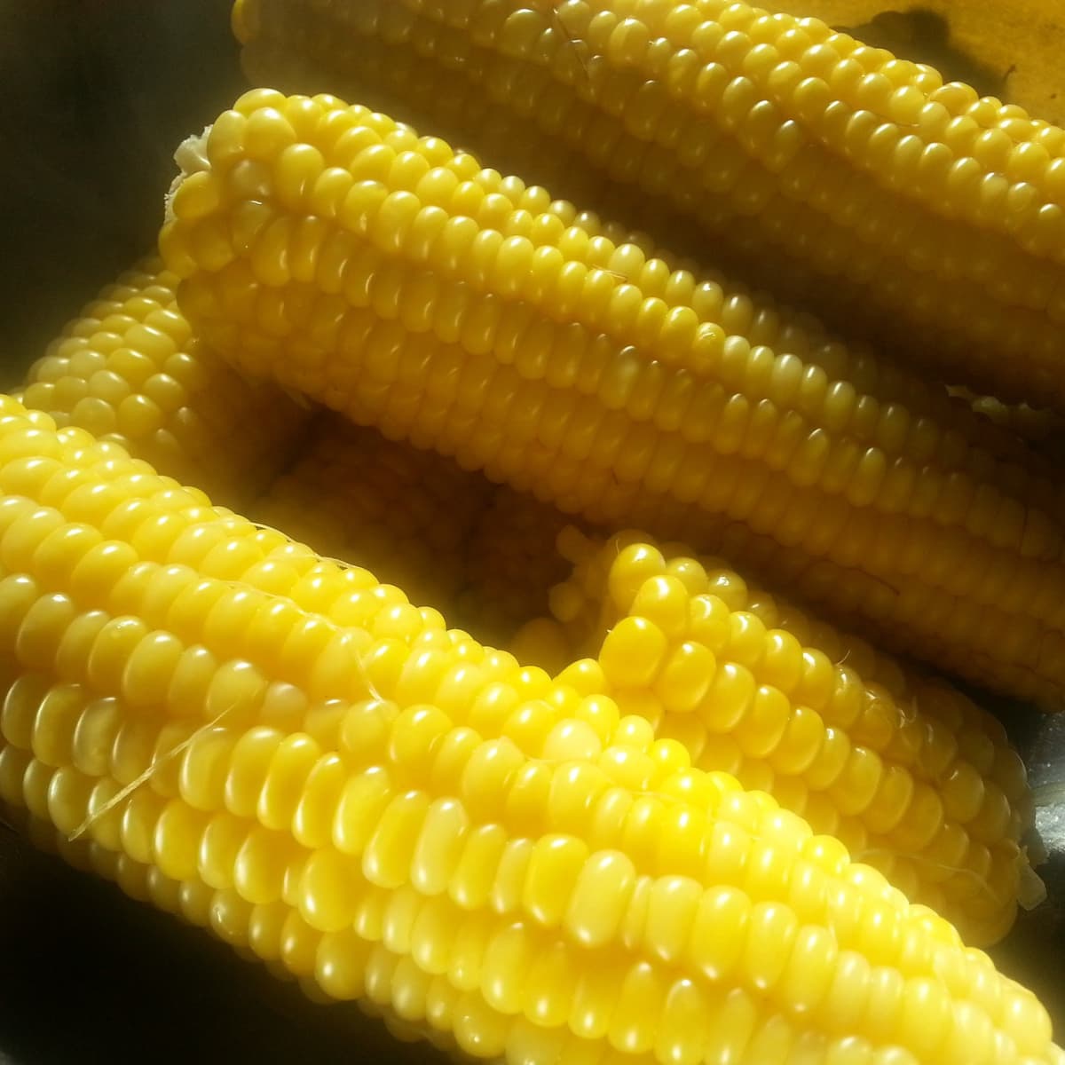 Exploring Sweet Corn: The Number 1 Grain in the World - Delishably