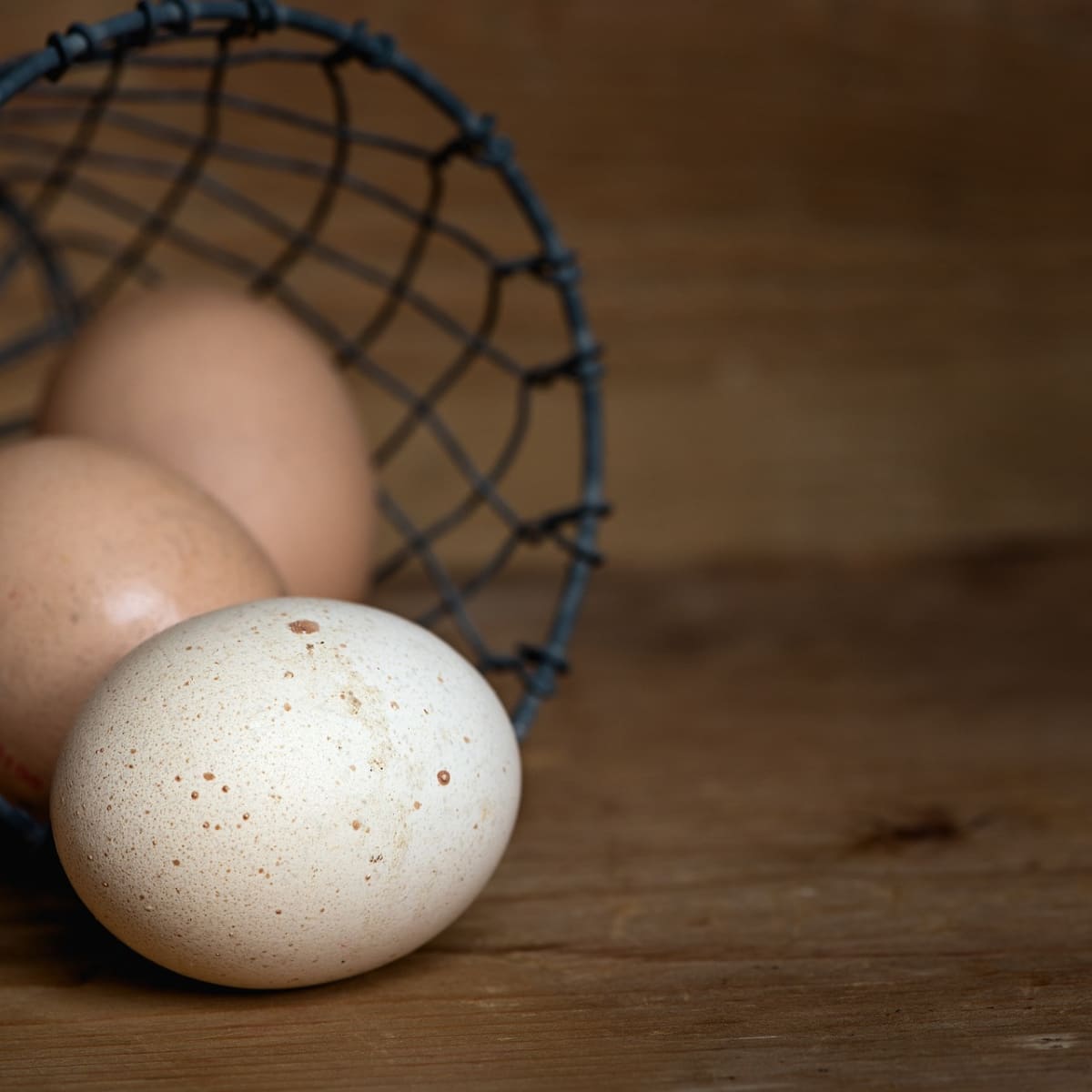 How to Cook an Ostrich Egg - Delishably