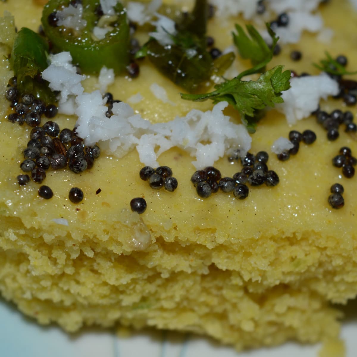 TRICOLORED KHAMAN DHOKLA (Steamed Savory Chickpea Cakes) - CurryandVanilla