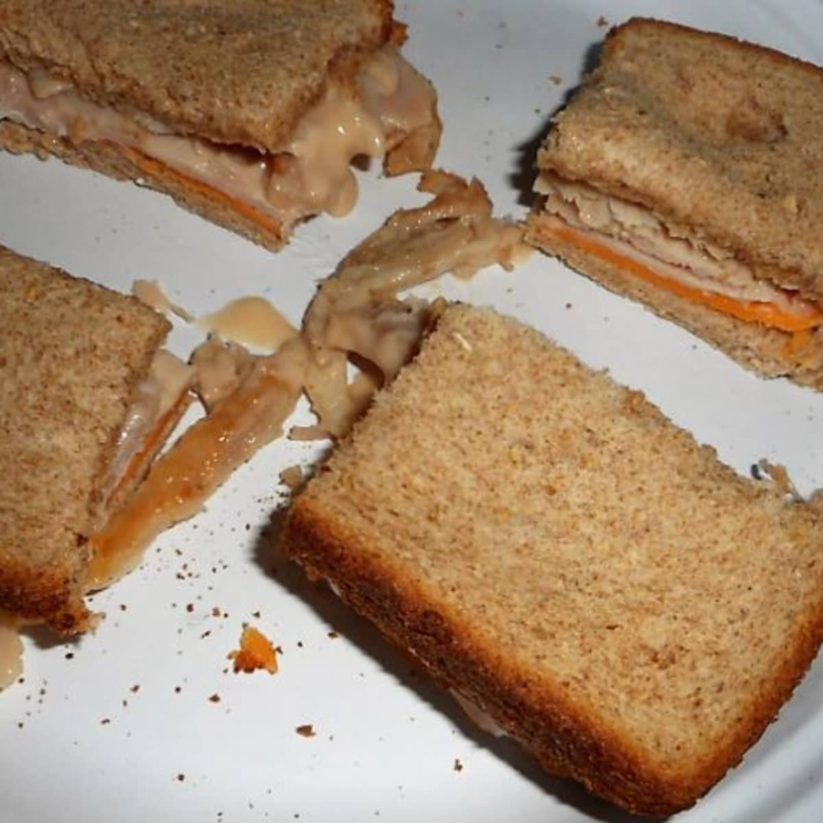 Grilled Cheese in Toaster Oven + Toaster Oven Cheese Toast