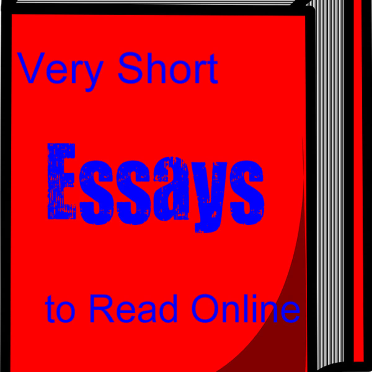 essay writer Review