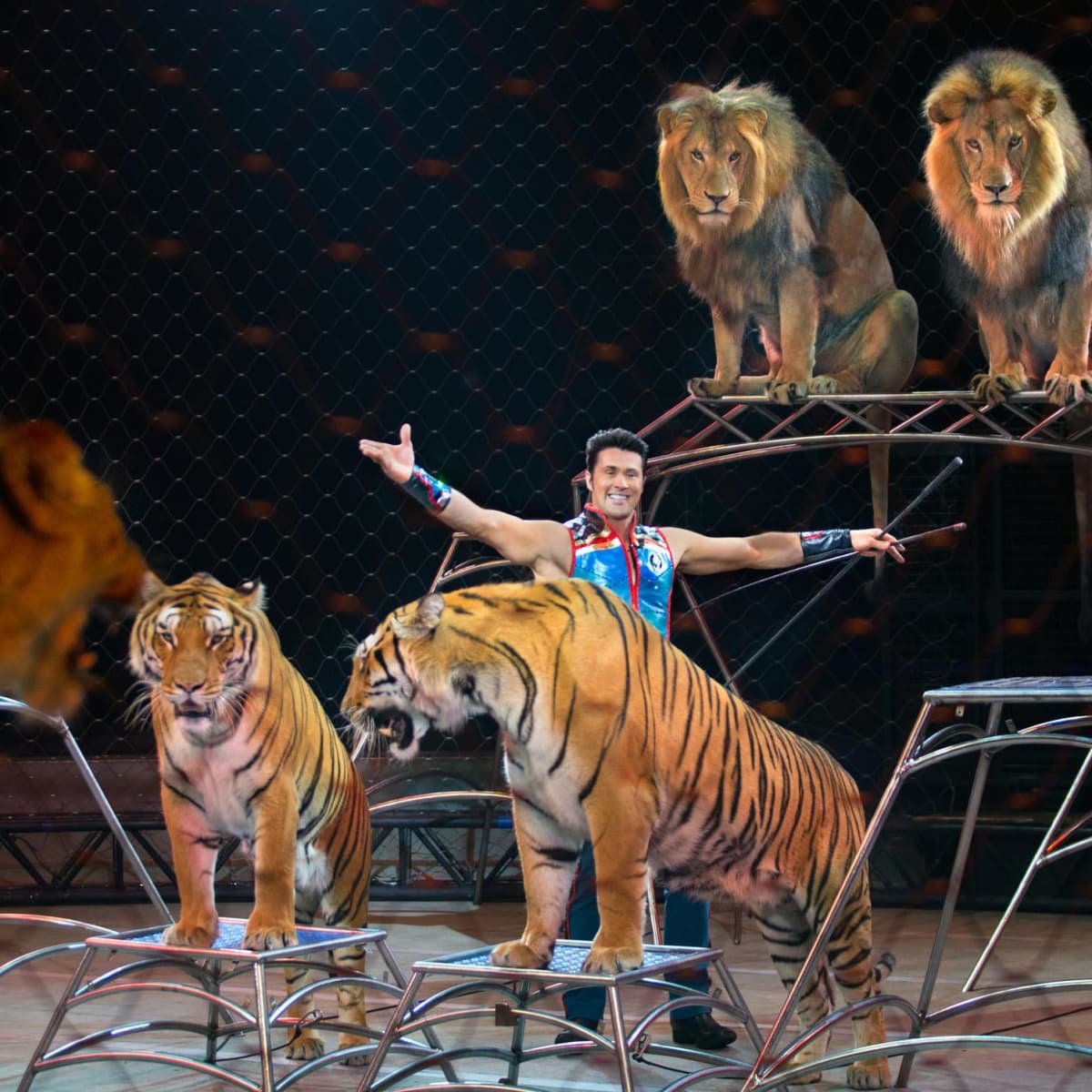 Big Cat & Animal Trainer Alexander Lacey's Ringling Bros. Circus Wrap-Up -  HobbyLark