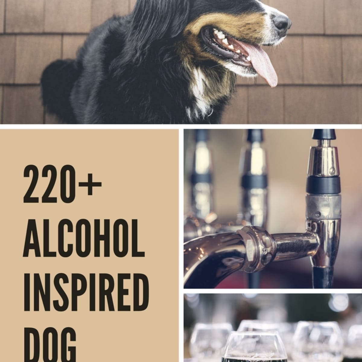 220 Fun Alcohol Inspired Dog Names Pethelpful