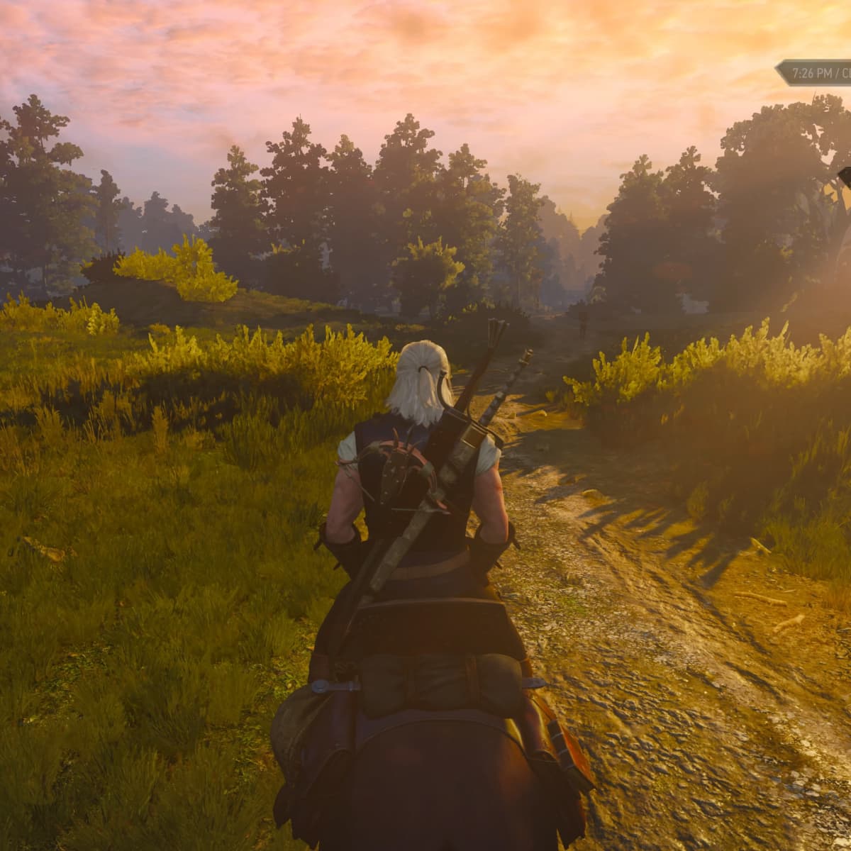 Switch the witcher 3 фото 111