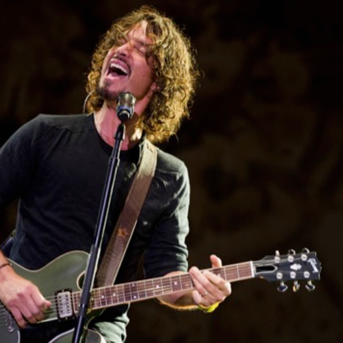 Chris Cornell And The Gibson Es 335 Spinditty