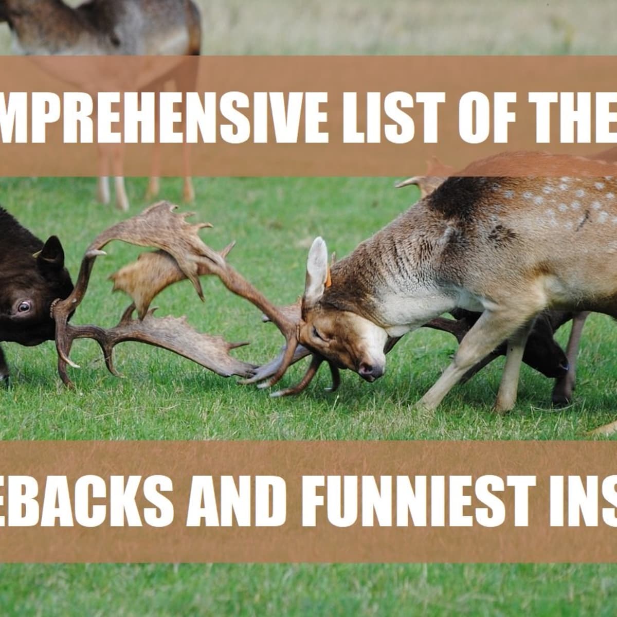 200+ Best Comebacks, Funny Insults, and Savage Roasts - PairedLife
