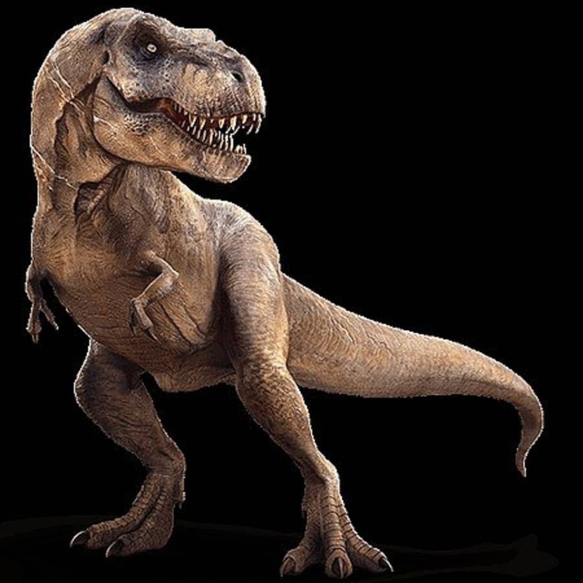 hier Dwars zitten huichelarij Tyrannosaurus Rex: Quick Facts - Owlcation