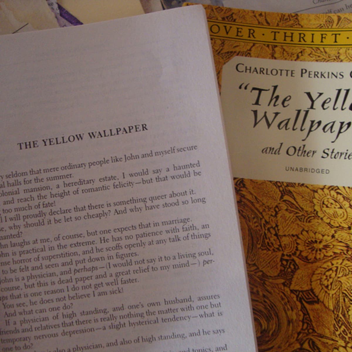 The Yellow Wallpaper eBook by Charlotte Perkins Gilman  EPUB  Rakuten  Kobo 9781913724382