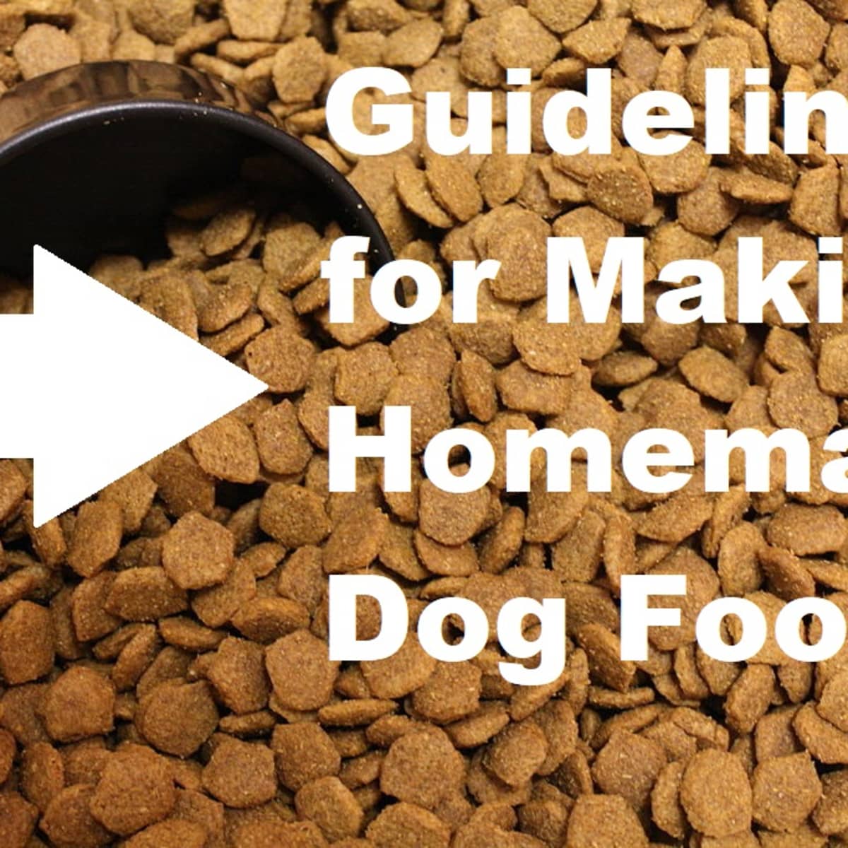 how much homemade dog food should i feed my dog