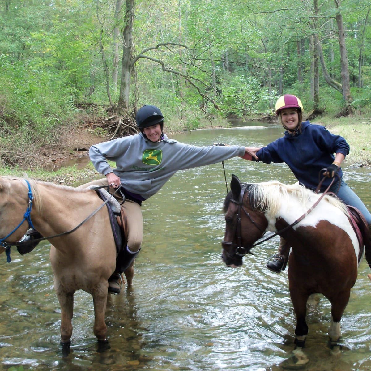 A Guide for First-Time Trail Riders - PetHelpful