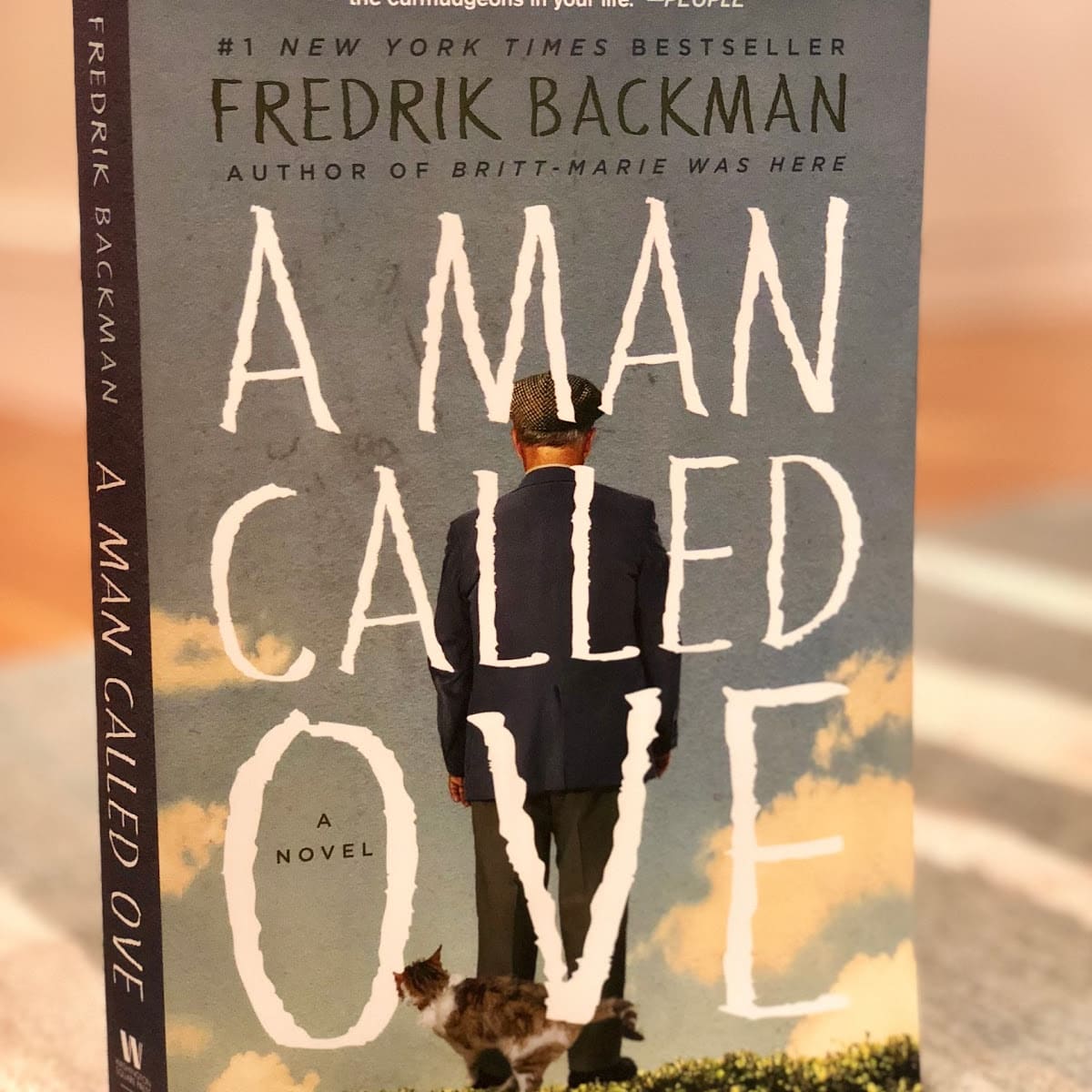 Book Review A Man Called Ove Owlcation