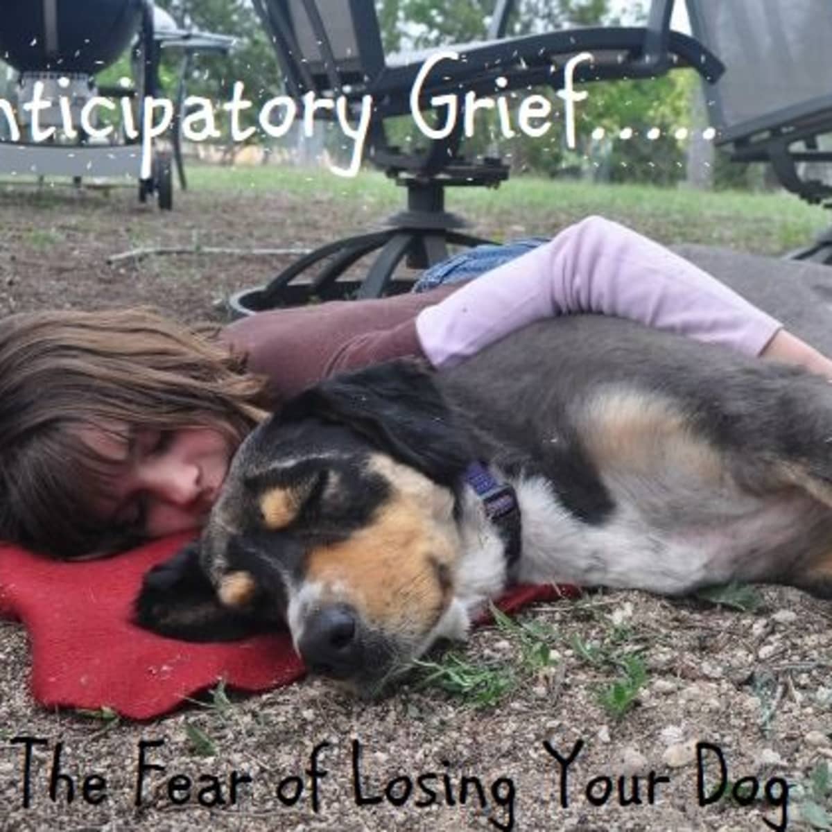 Anticipatory Grief: Pre-Grieving the Loss of a Dog or Other Pet - PetHelpful