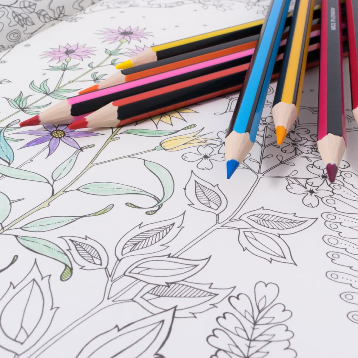Adult Coloring Book w/ Colored Pencils