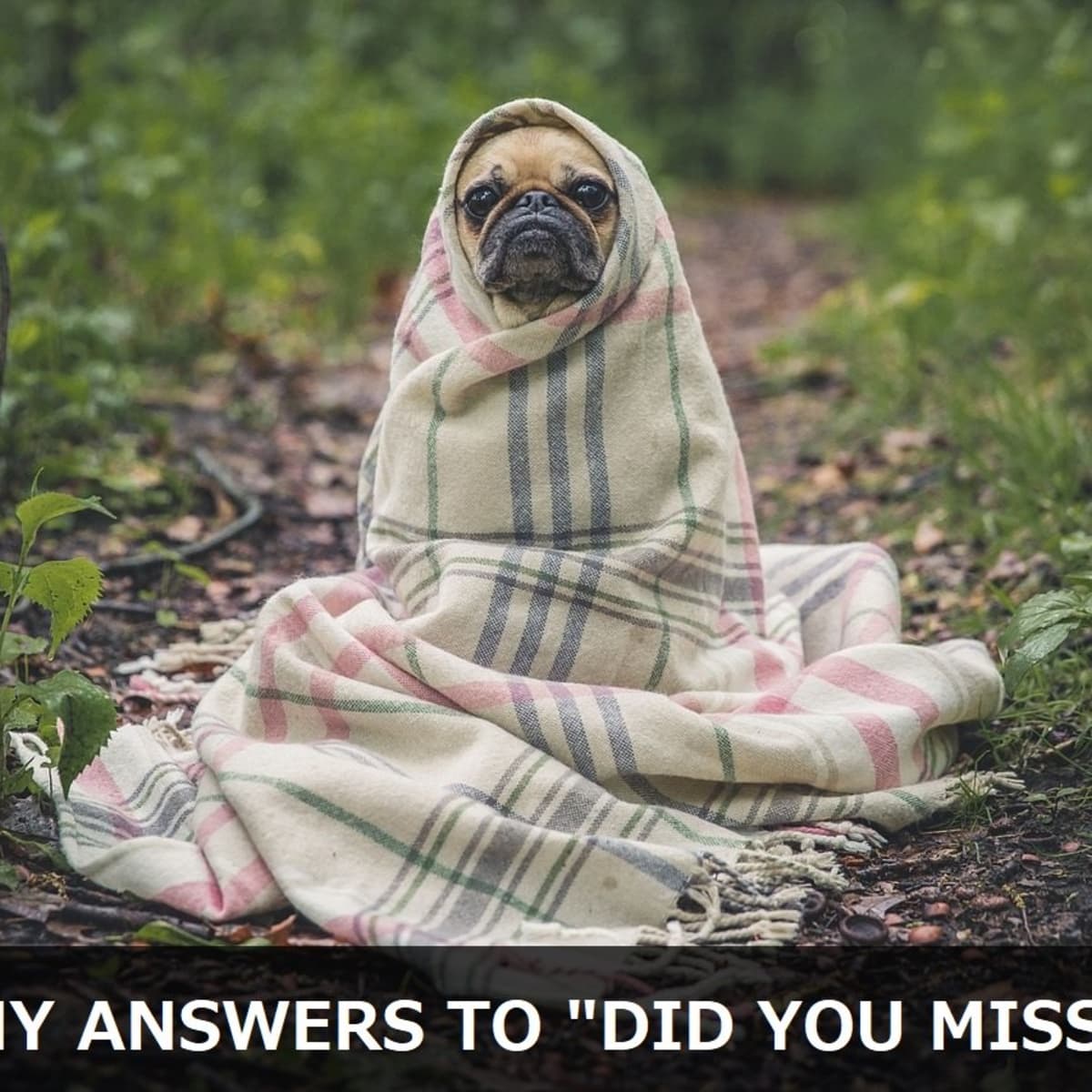 100+ Funny and Witty Answers to 