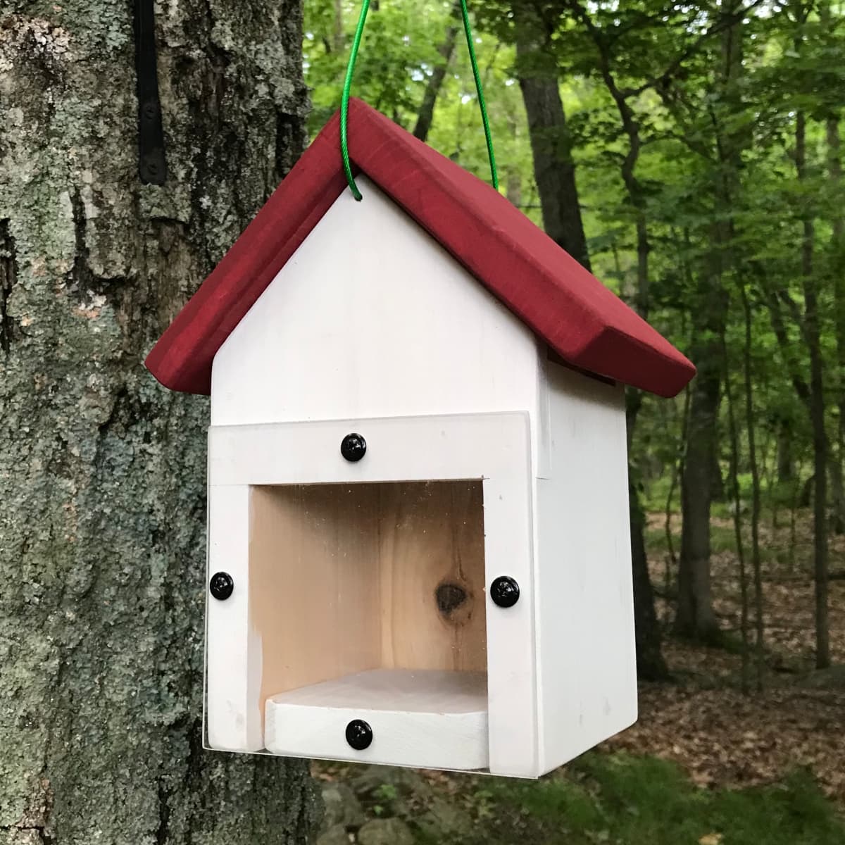 My Window Birdhouse~Spy On Birds~Real Wood Not Plastic Like Others 100% Usa Made 