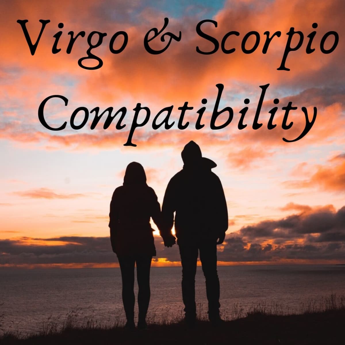 Virgo sexually and scorpio Virgo &