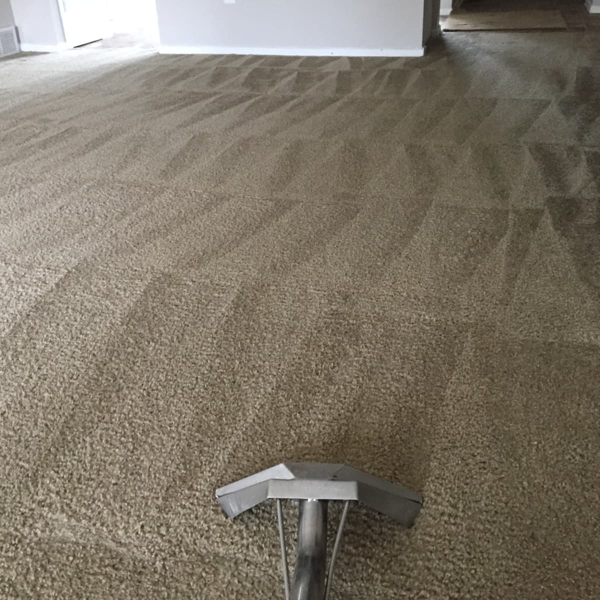 How To Remove Road Tar From Carpet Www resnooze