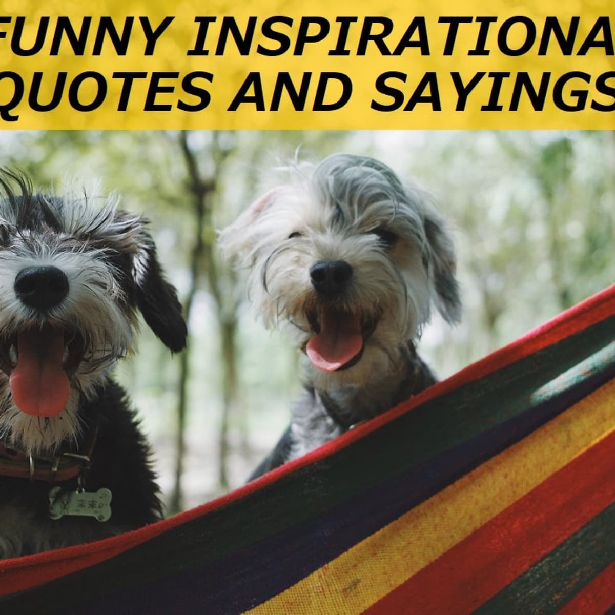 100+ Funny Inspirational Quotes and Sayings - LetterPile