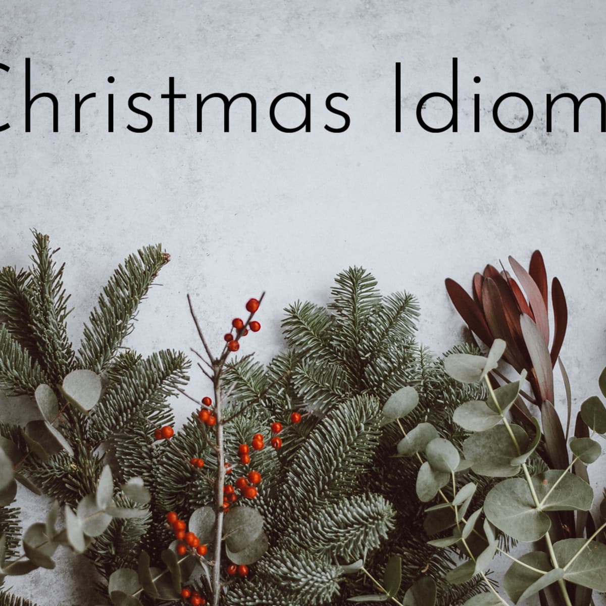 21 Christmas Themed Idioms Phrases And Their Meanings Owlcation
