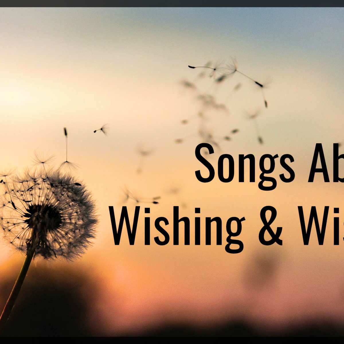 47 Songs About Wishes Spinditty - wlising songs in roblox