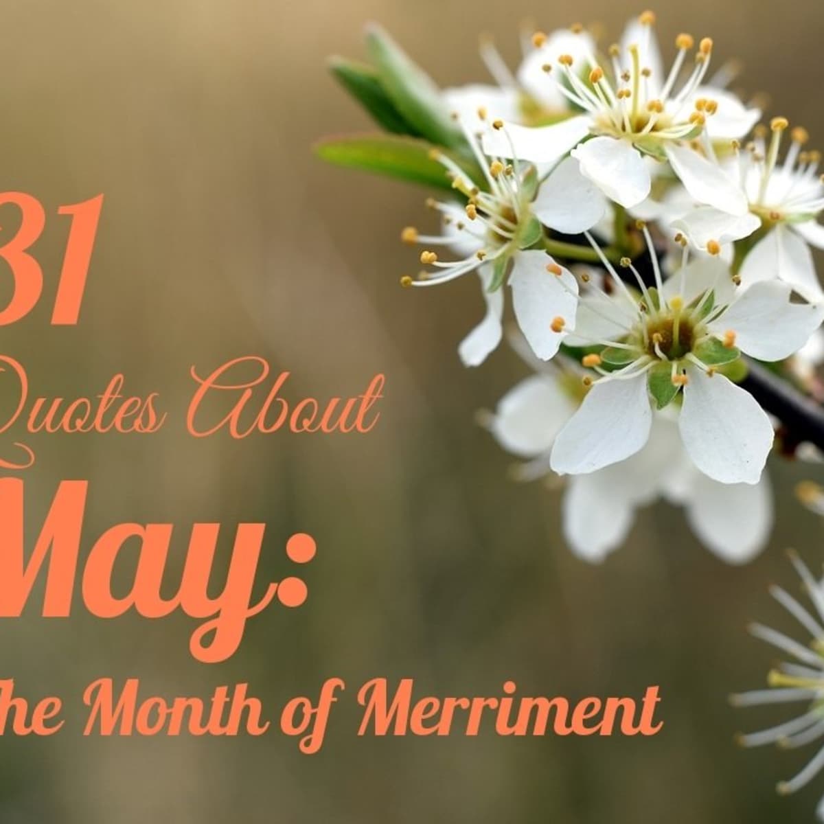 31 Quotes and Poems About May: The Month of Merriment - Holidappy