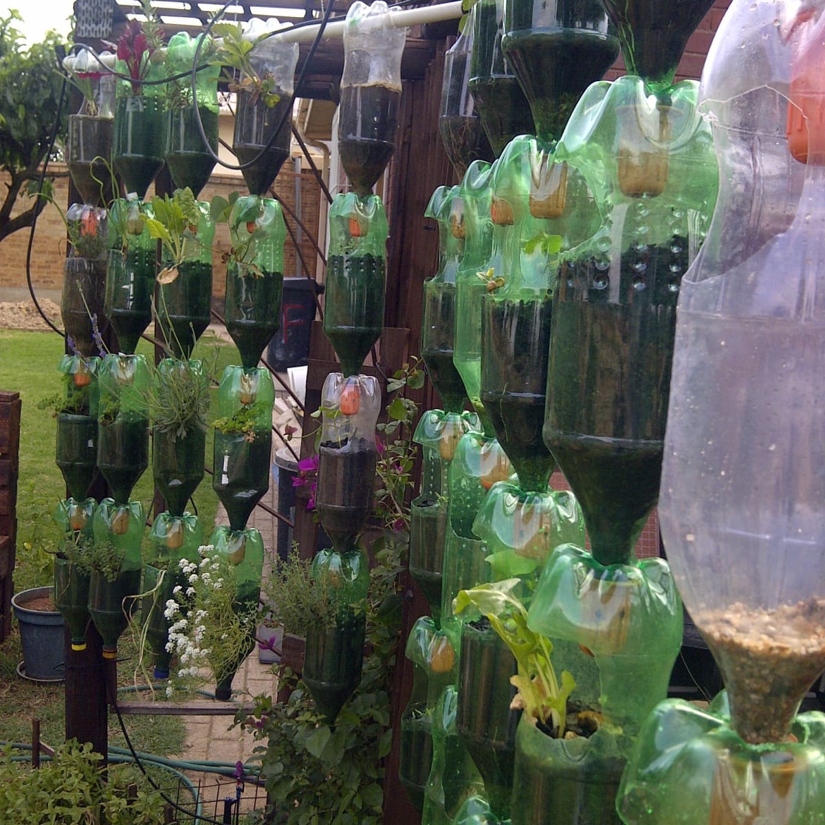 Recycled Plastic Bottles, How To Make A Hanging Garden From Plastic Bottles