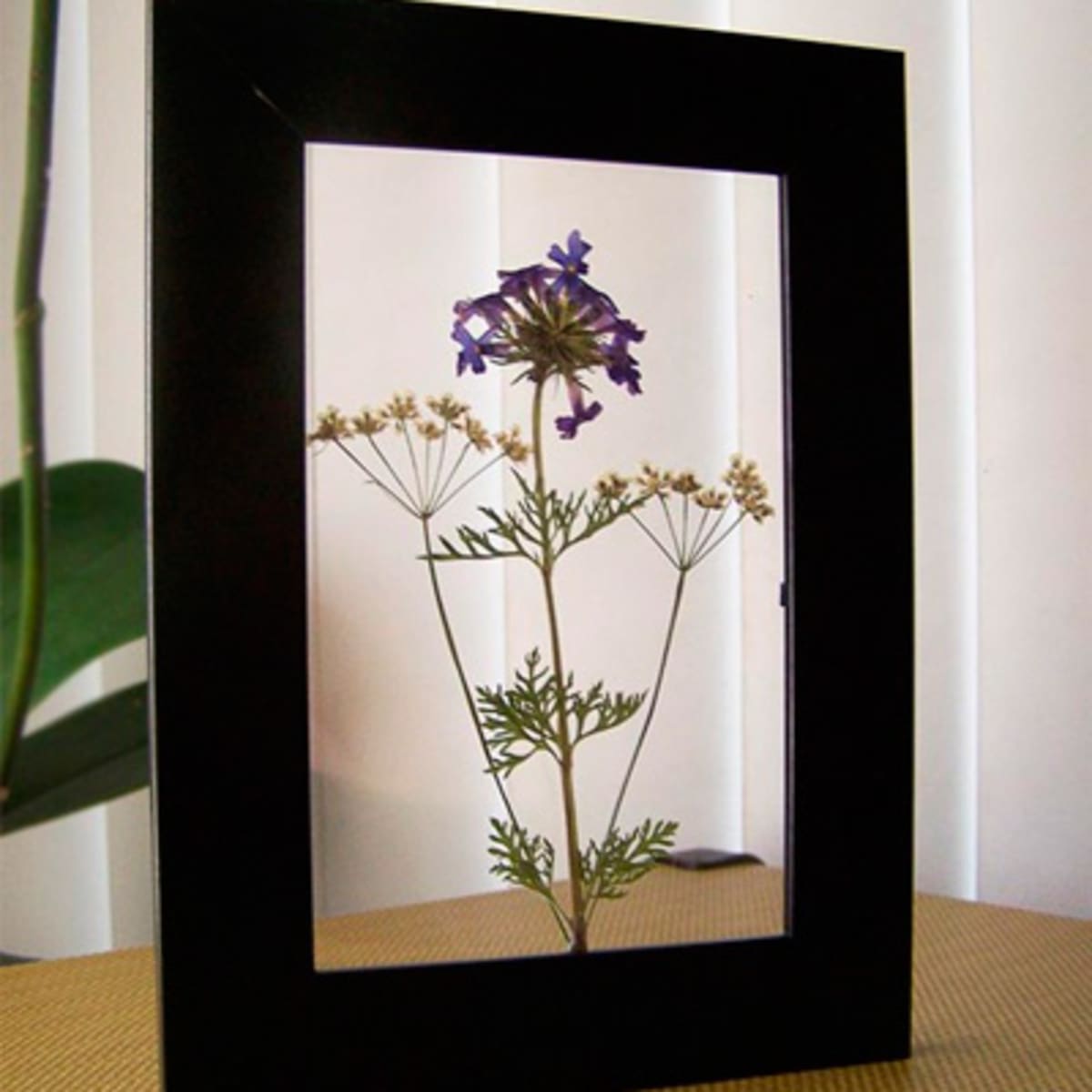 Framed Pressed Botanicals Lavender Blossom