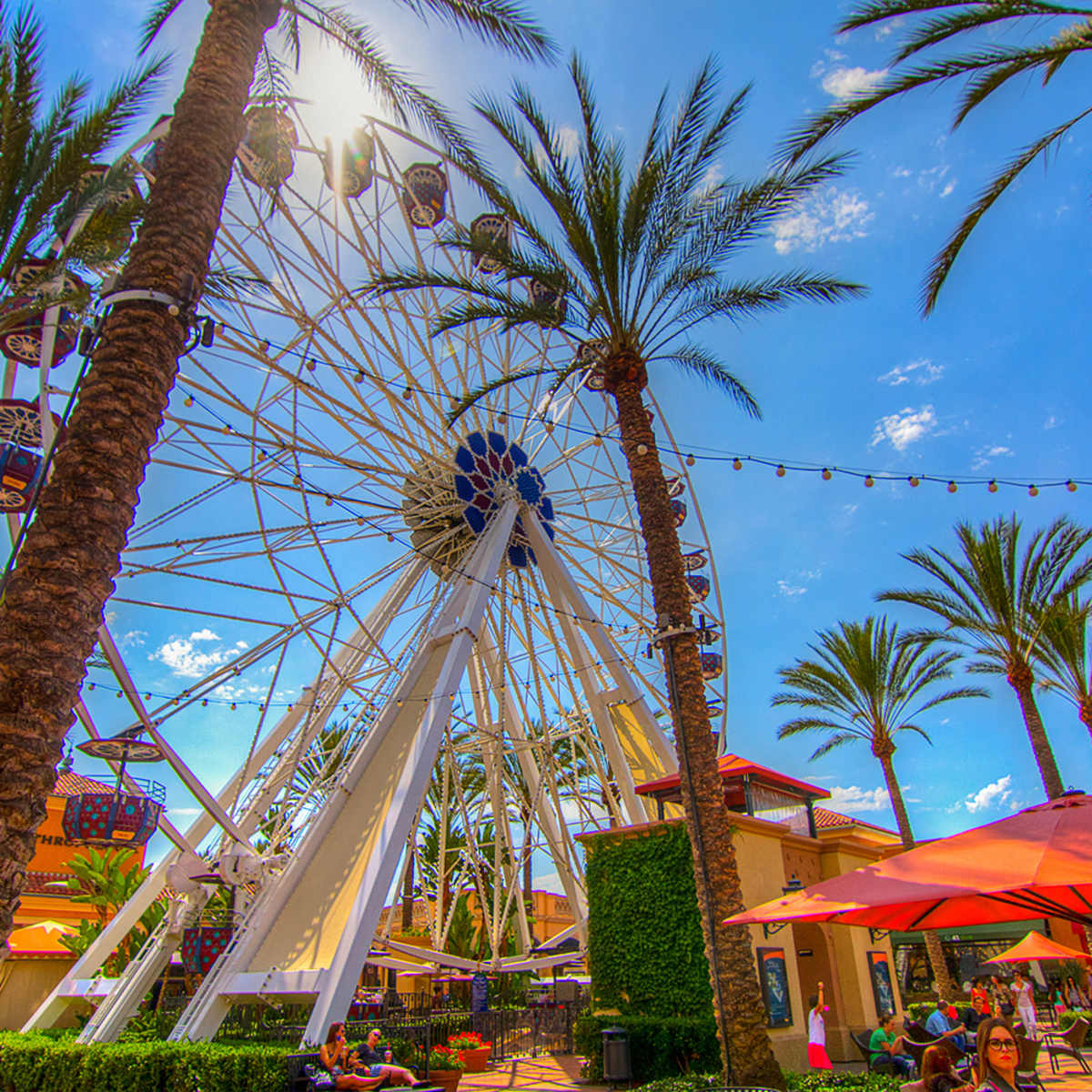 14 Best Things to do in Orange County