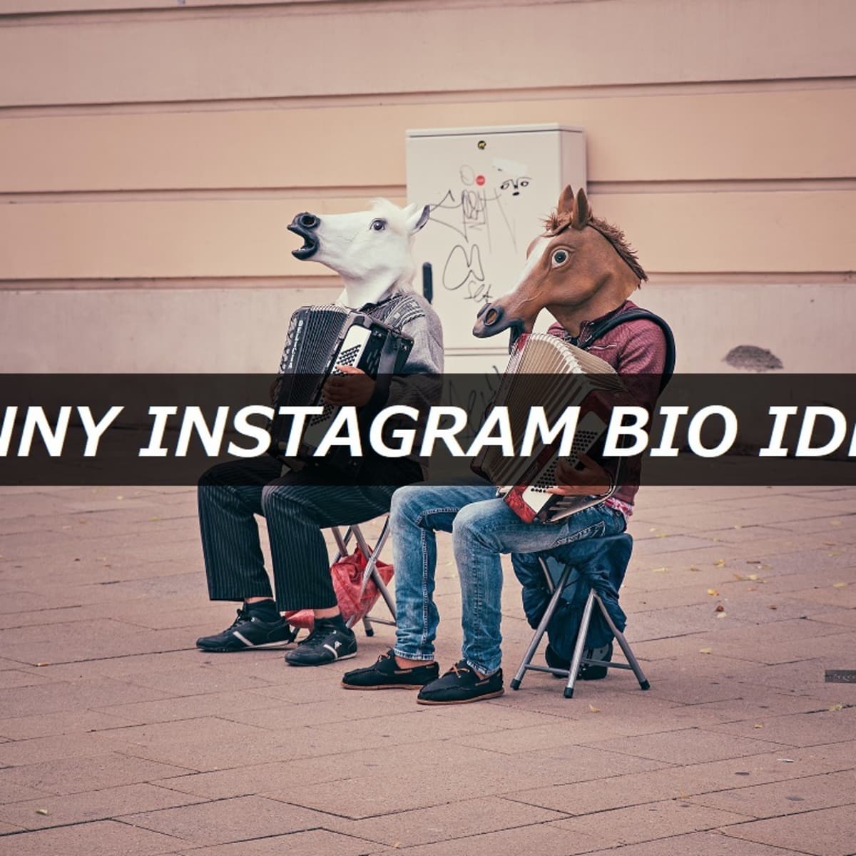 Funniest Instagram Bios