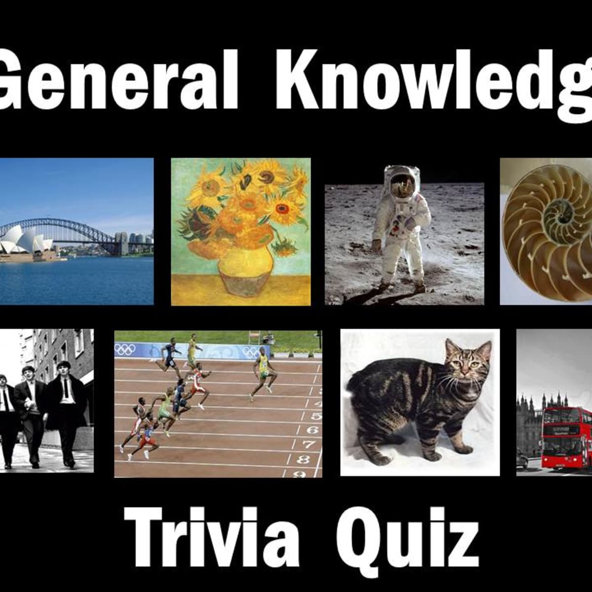 Knowledge quiz. General knowledge Quizzes.