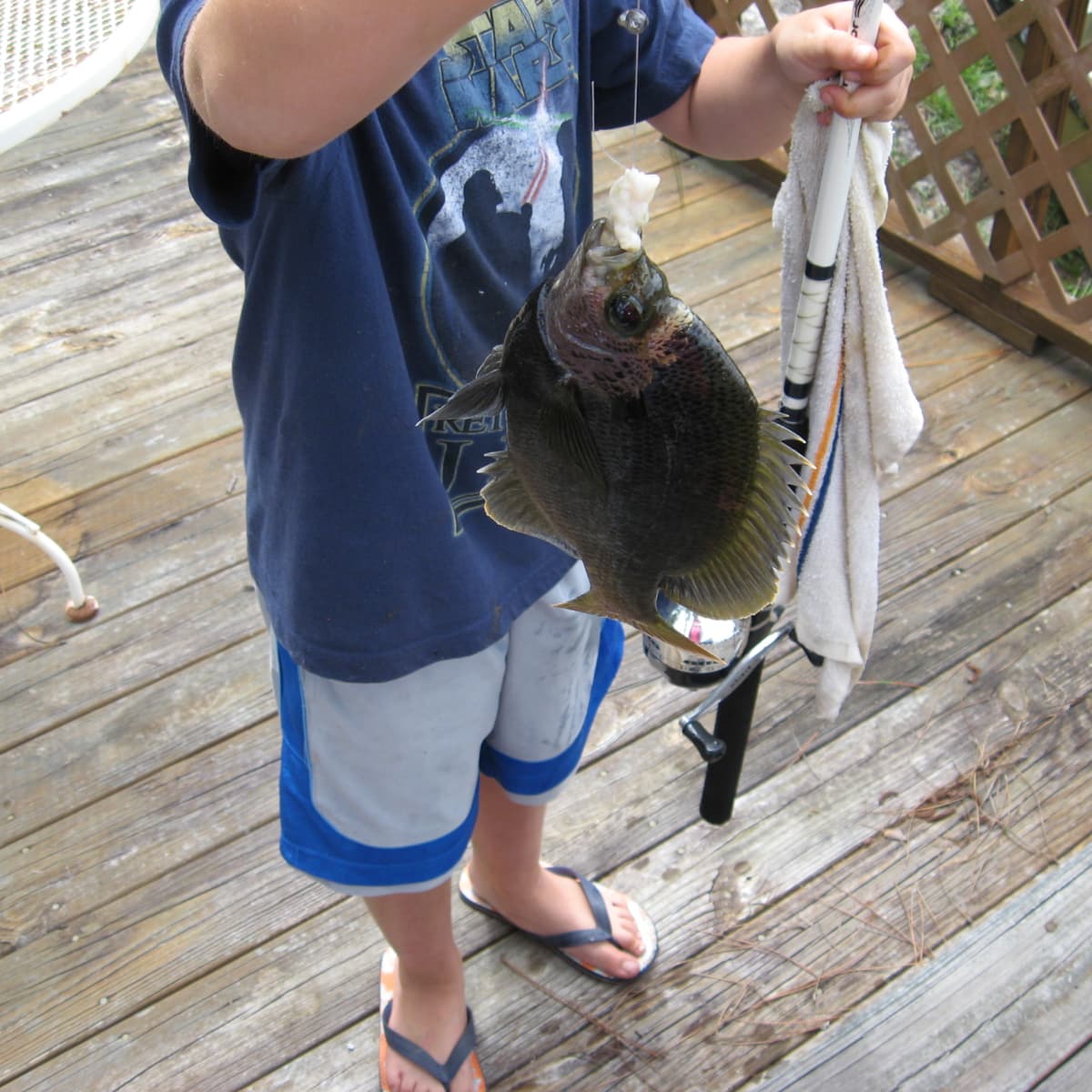 What's your favorite tried and true way to catch big bluegill? - Page 3