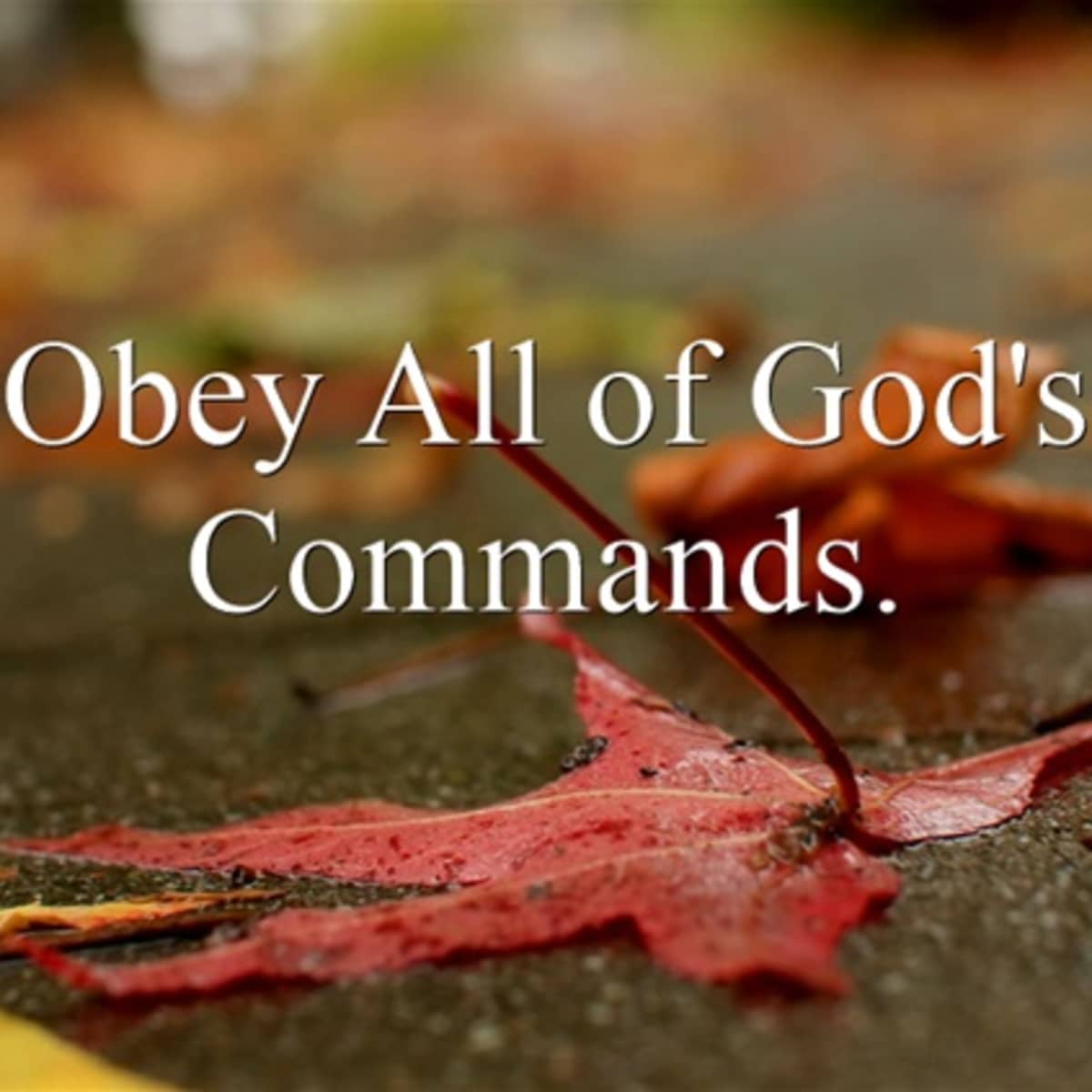 God's Command or God's Promise: What's the Difference? - LetterPile