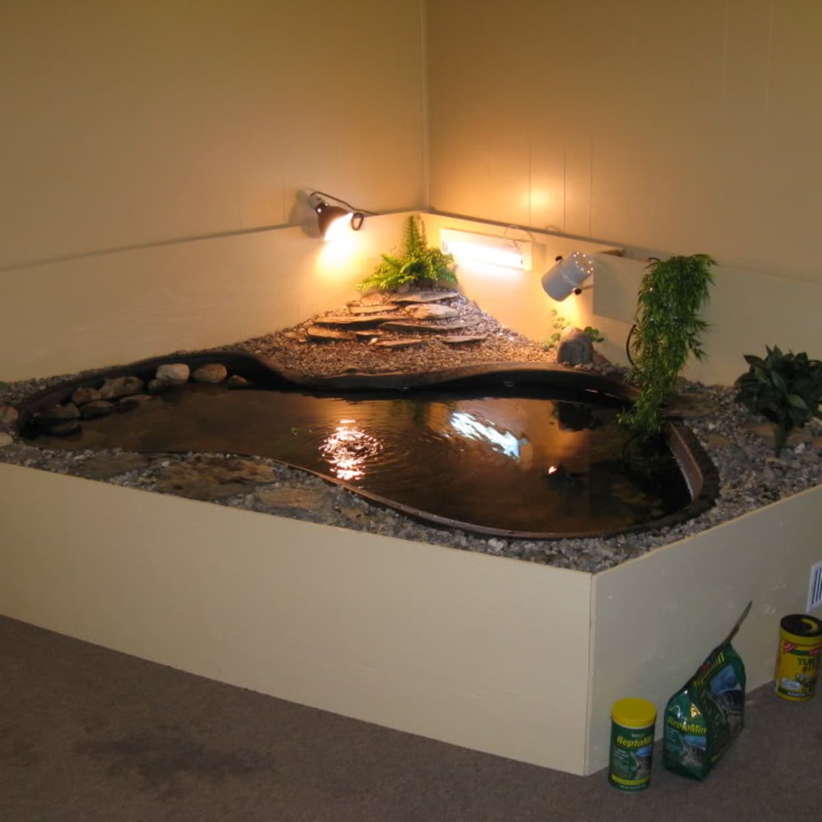 Housing the Aquatic Turtle - HubPages