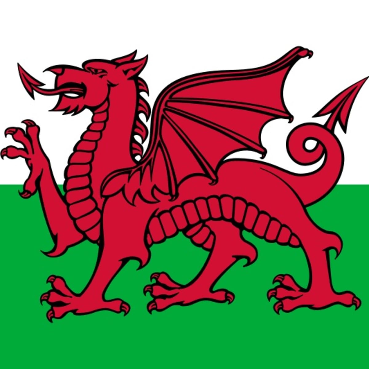 Interesting Welsh Animals. An amazing variety in Wales for such a small  Country! - HubPages