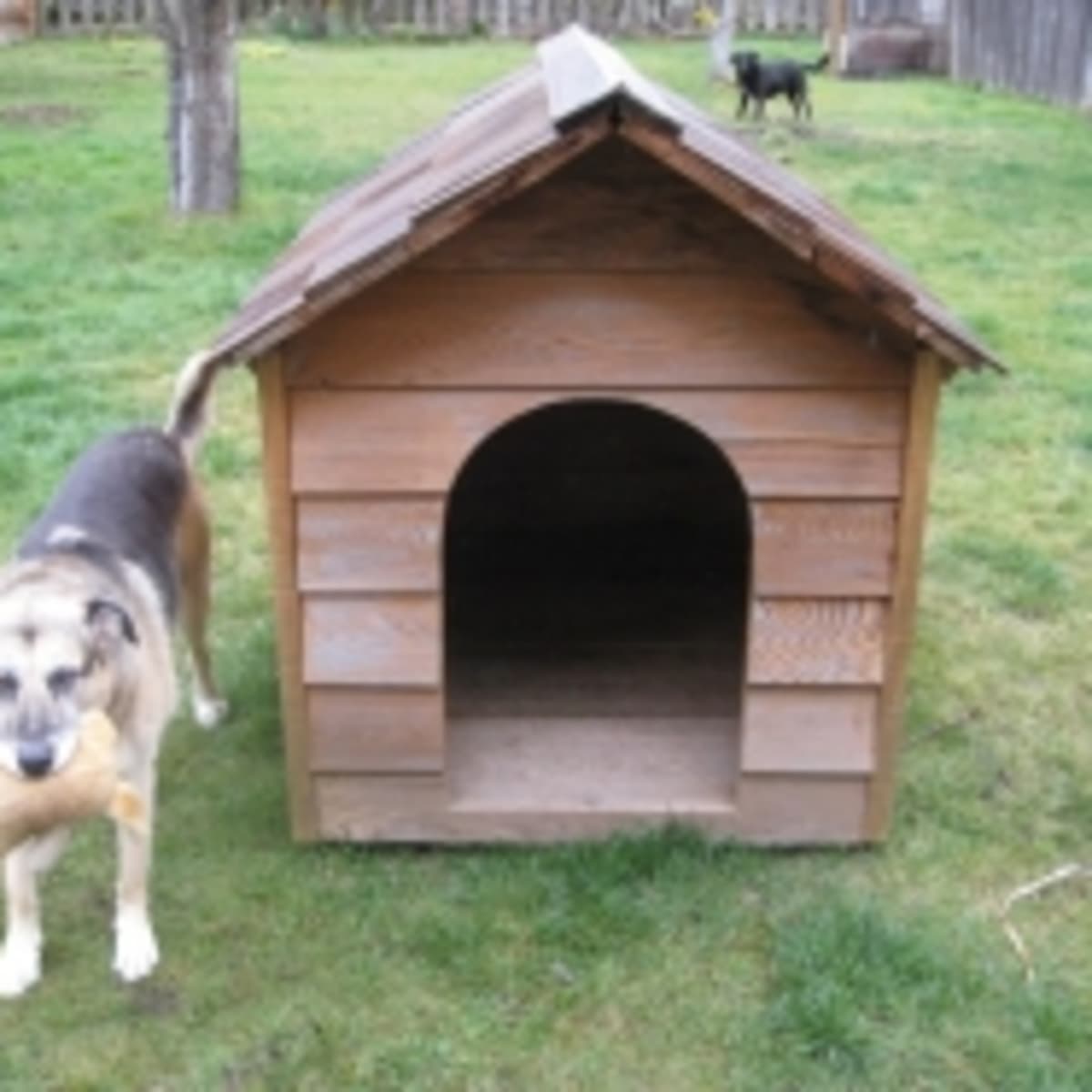 How to build an insulated dog house