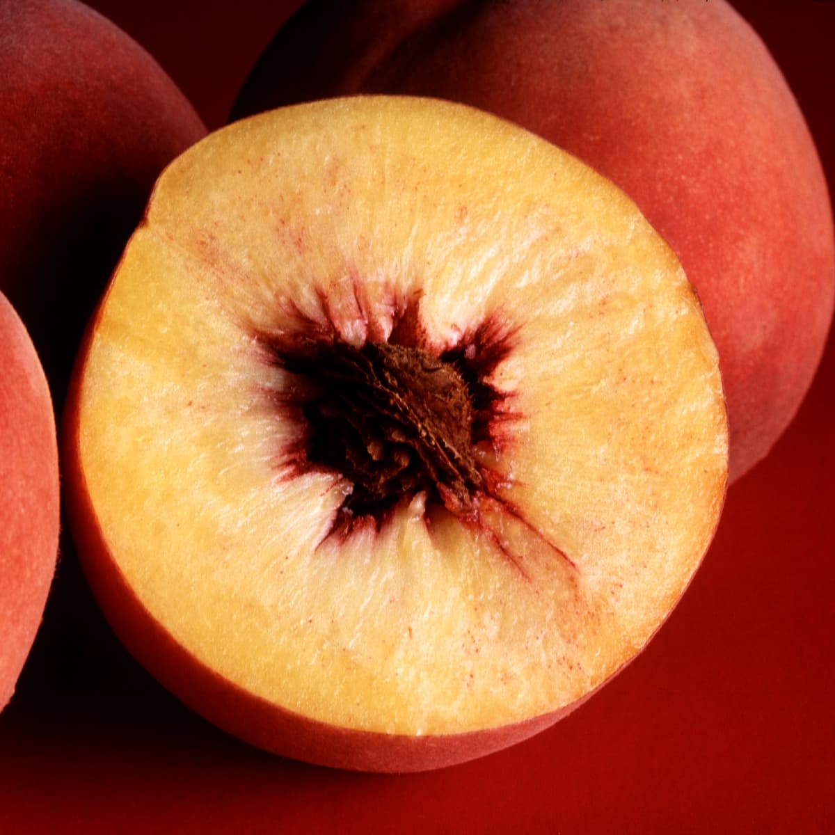 Nectarine  Description, Peach, Nutrition, Uses, Facts