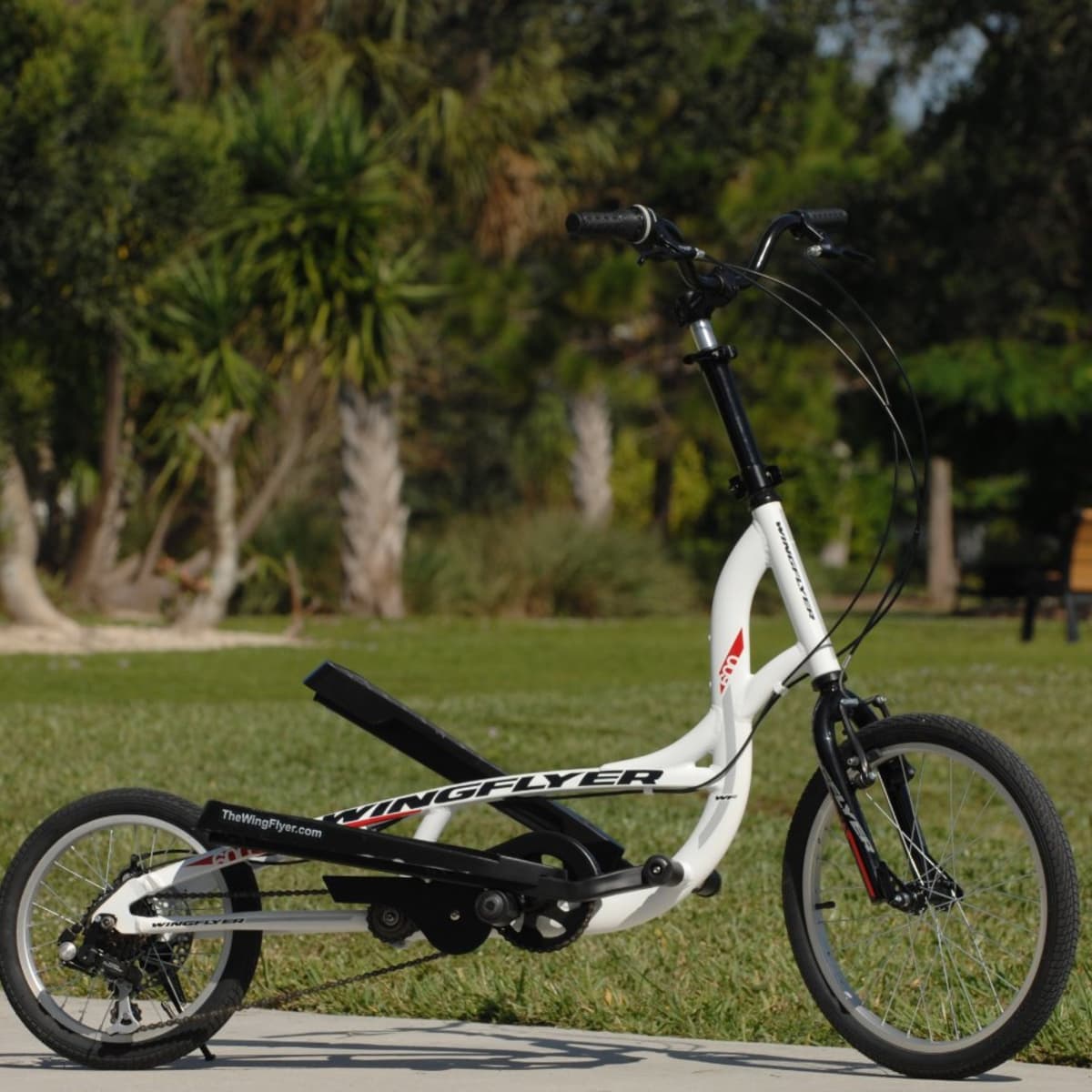 uitvoeren Dierentuin s nachts cruise Four Great Elliptical Scooter Bikes | Reviews & Suggestions - HubPages