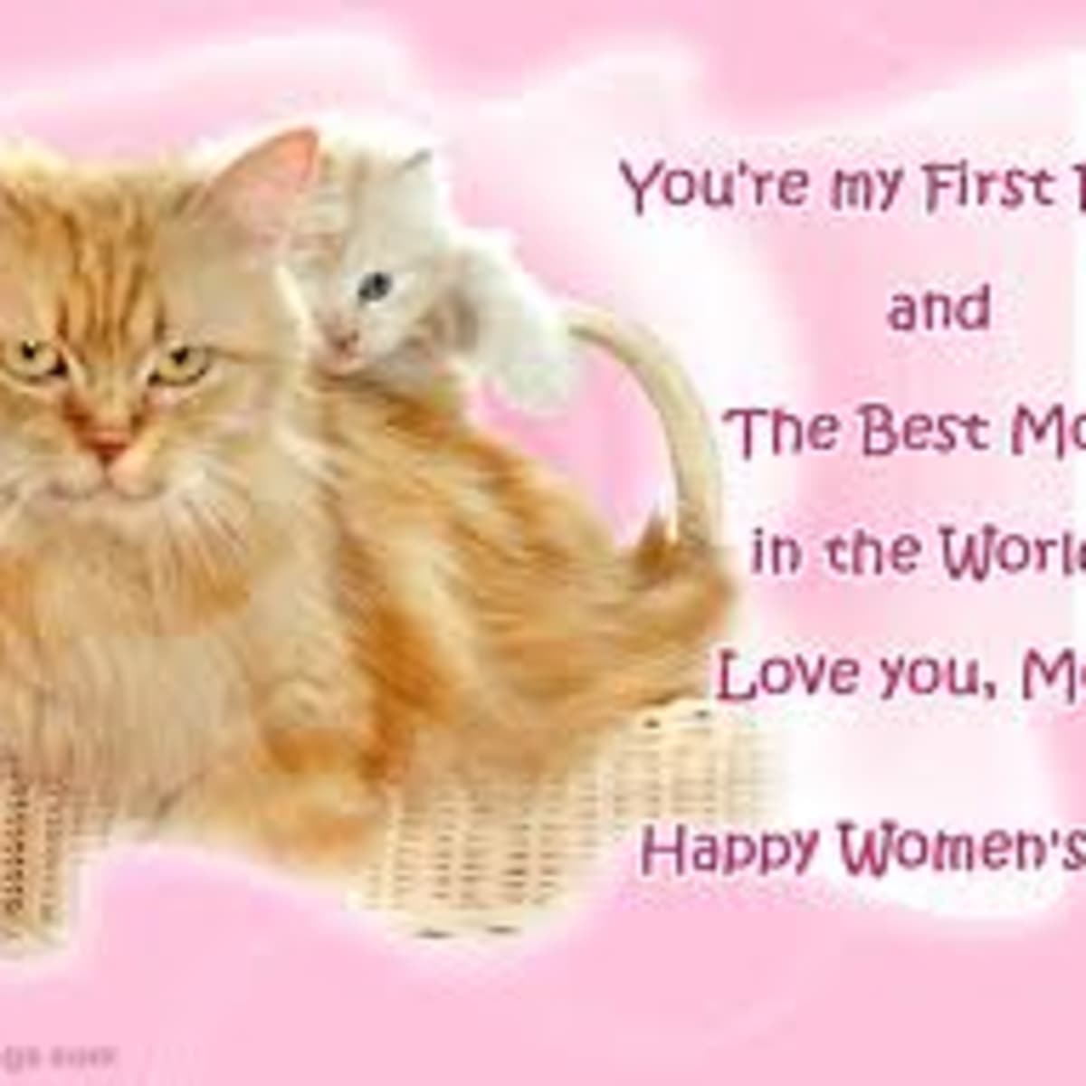 Happy Women's Day SMS Messages - HubPages
