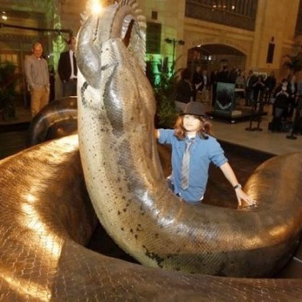 Titanoboa: The Biggest Snake That Ever Lived - HubPages