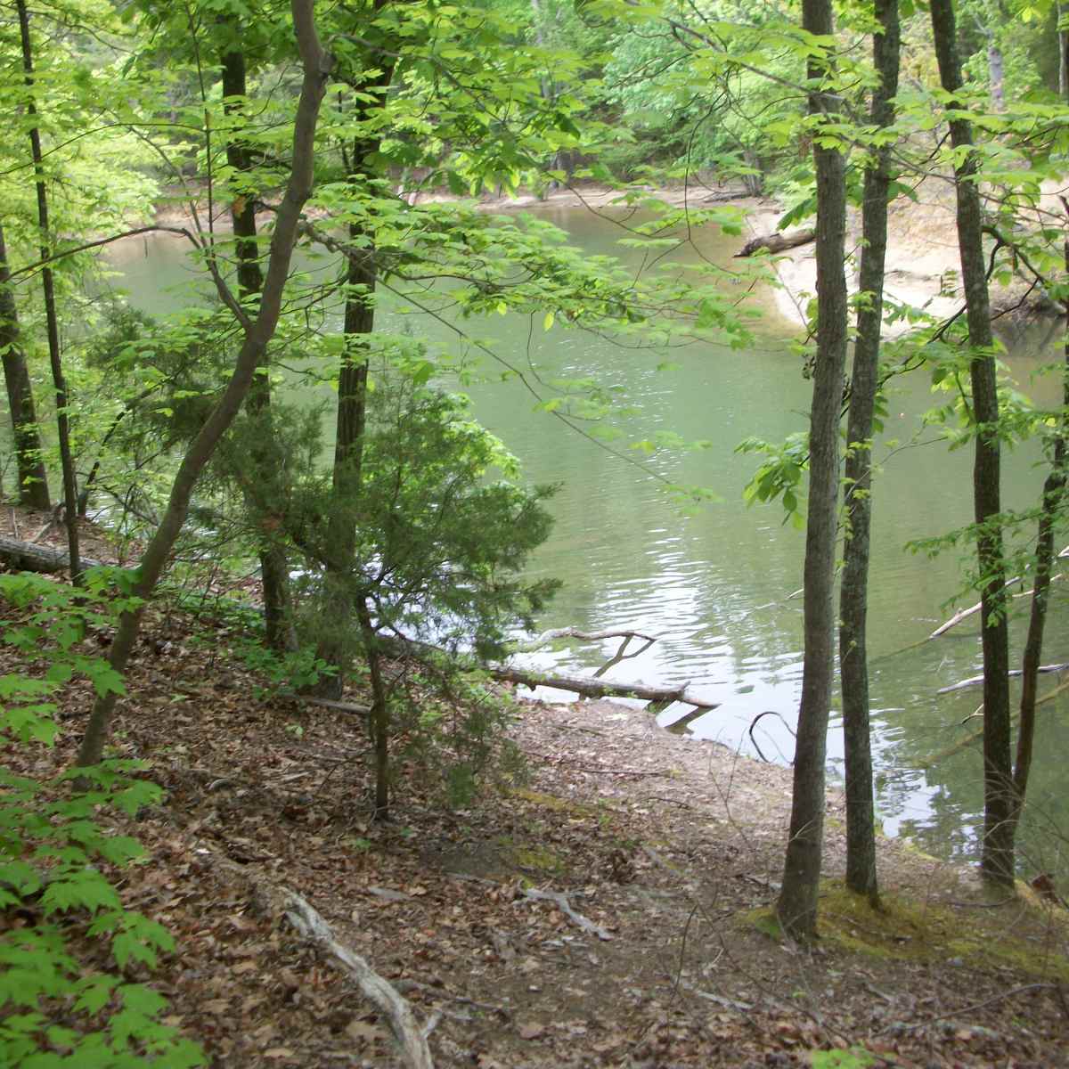 Discover Toulouse with Erin McDowell | Culinary Retreat — Rêverie Forever  Cooking Retreats, image size:1200x1200