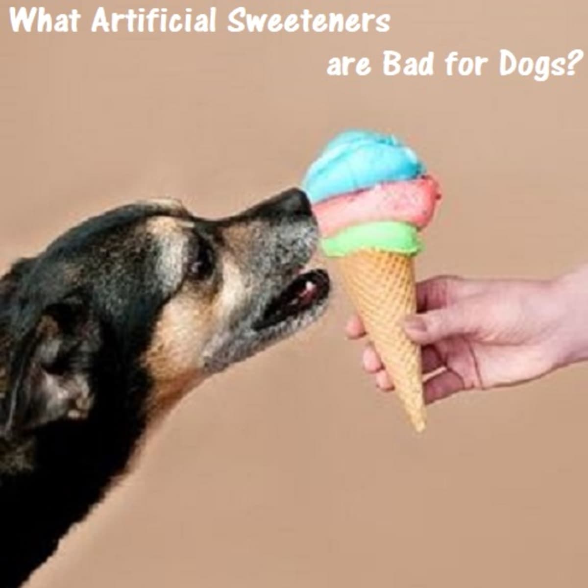 are sweeteners poisonous to dogs